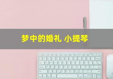 梦中的婚礼 小提琴